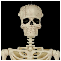 Frankenstein Skeleton