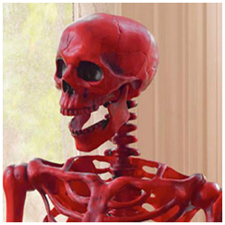 Red Skeleton